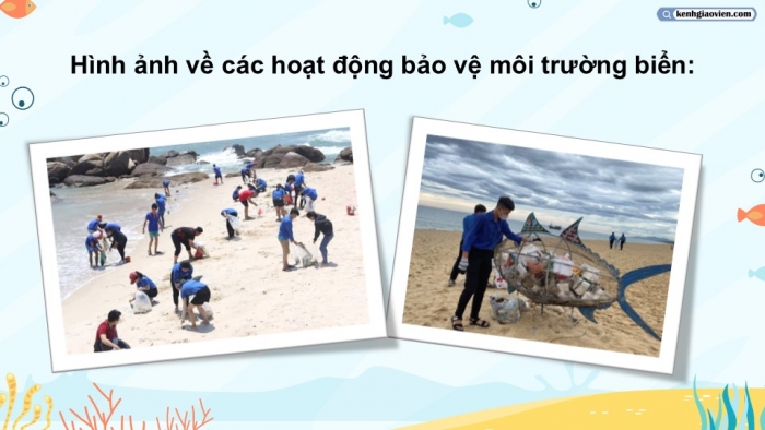 Giáo án điện tử Mĩ thuật 5 cánh diều Bài 10: Bảo vệ môi trường biển