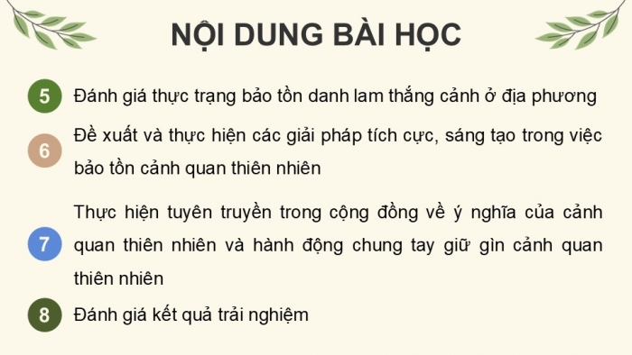 Giáo án điện tử Hoạt động trải nghiệm 12 chân trời bản 2 Chủ đề 6: Bảo tồn động vật, thực vật và cảnh quan thiên nhiên (P1)