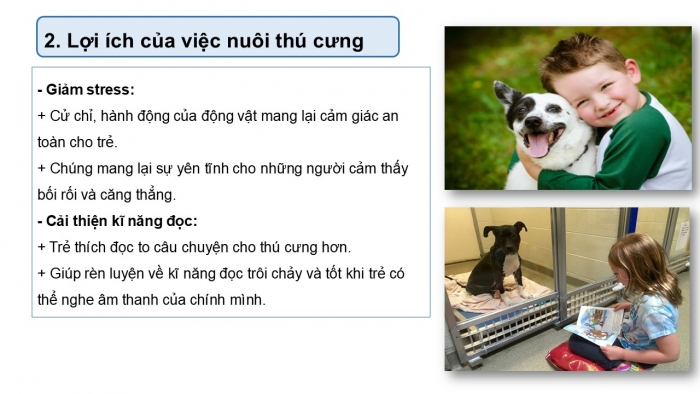 Giáo án PPT Ngữ văn 6 cánh diều Bài 8: Tại sao nên có vật nuôi trong nhà?