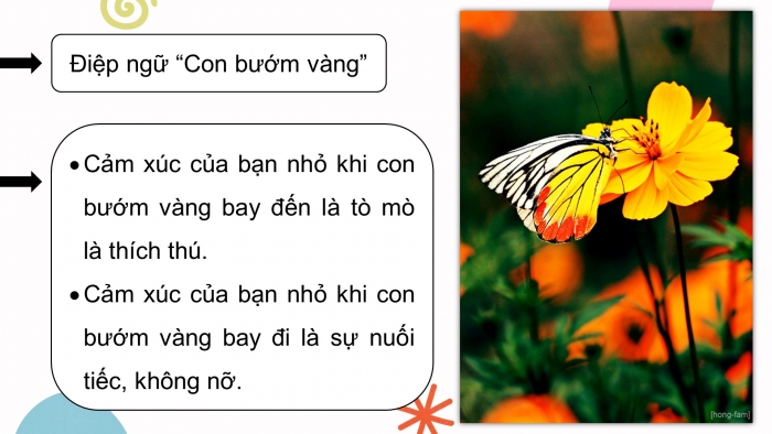 Giáo án điện tử Tiếng Việt 5 cánh diều Bài 15: Ôn tập giữa học kì II (Tiết 5 + 6 + 7)