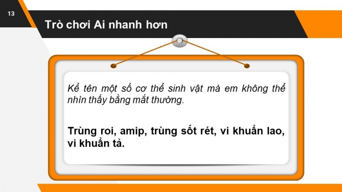 Giáo án và PPT đồng bộ Sinh học 6 chân trời sáng tạo