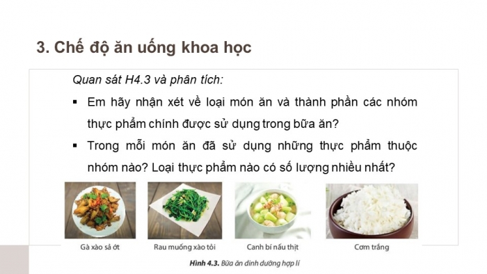 Giáo án và PPT đồng bộ Công nghệ 6 chân trời sáng tạo