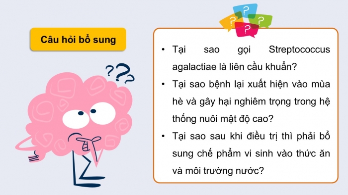 Giáo án điện tử Công nghệ 12 Lâm nghiệp - Thủy sản Kết nối Bài 24: Một số bệnh thủy sản phổ biến và biện pháp phòng, trị