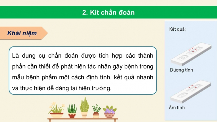 Giáo án điện tử Công nghệ 12 Lâm nghiệp - Thủy sản Kết nối Bài 25: Ứng dụng công nghệ sinh học trong phòng, trị bệnh thủy sản