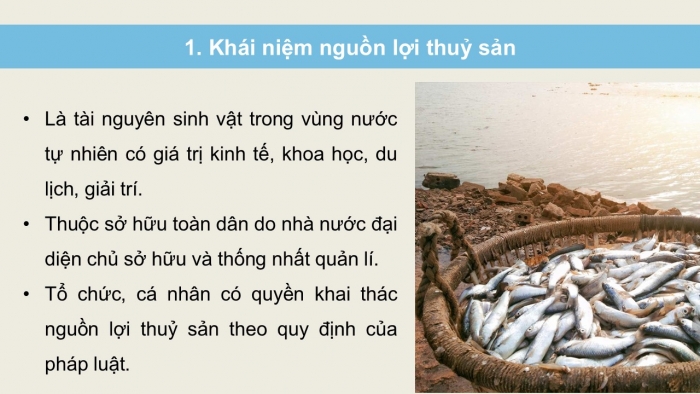 Giáo án điện tử Công nghệ 12 Lâm nghiệp - Thủy sản Kết nối Bài 26: Bảo vệ nguồn lợi thủy sản