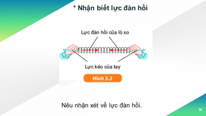 Giáo án và PPT đồng bộ Vật lí 6 kết nối tri thức