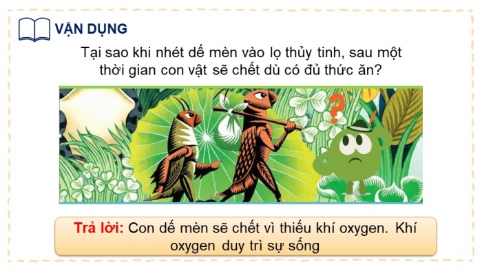 Giáo án và PPT đồng bộ Hoá học 6 chân trời sáng tạo