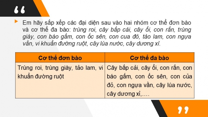 Giáo án và PPT đồng bộ Sinh học 6 chân trời sáng tạo