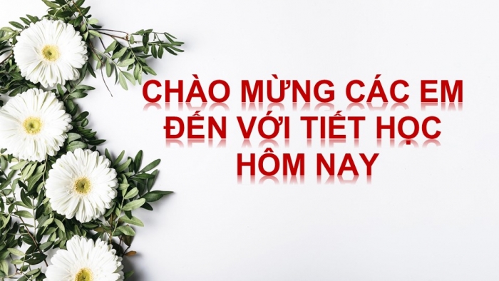 Giáo án PPT Ngữ văn 6 cánh diều Bài 6: Thực hành tiếng Việt