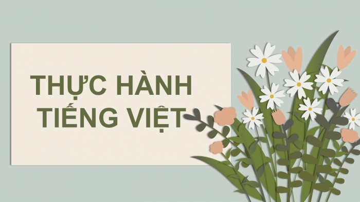 Giáo án PPT Ngữ văn 6 cánh diều Bài 8: Thực hành tiếng Việt