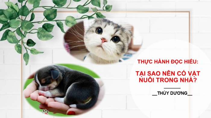 Giáo án PPT Ngữ văn 6 cánh diều Bài 8: Tại sao nên có vật nuôi trong nhà?