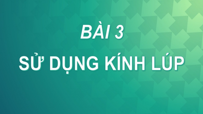 Giáo án PPT KHTN 6 kết nối Bài 3: Sử dụng kính lúp