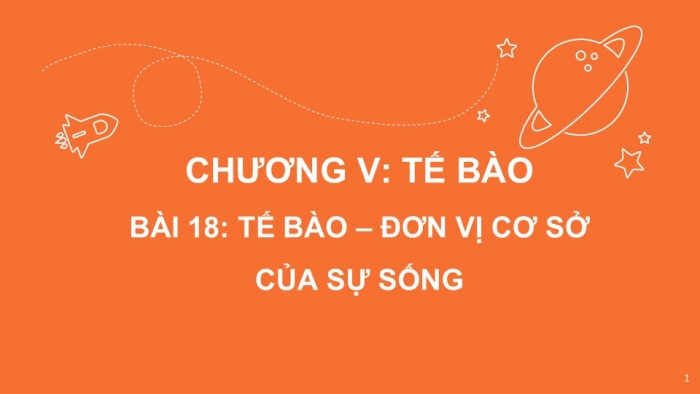 Giáo án PPT KHTN 6 kết nối Bài 18: Tế bào – Đơn vị cơ bản của sự sống