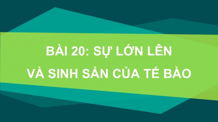 Giáo án PPT KHTN 6 kết nối Bài 20: Sự lớn lên và sinh sản của tế bào