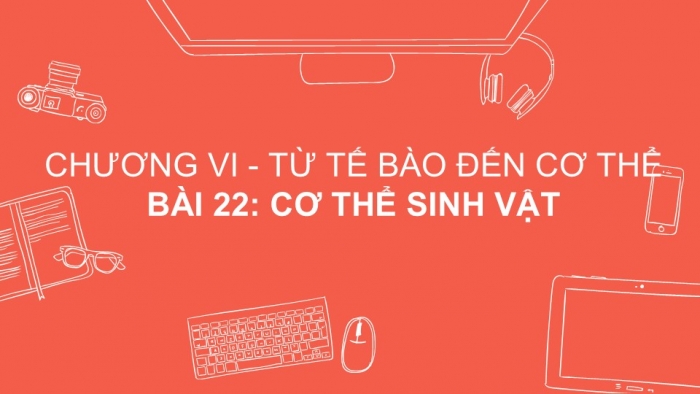 Giáo án PPT KHTN 6 kết nối Bài 22: Cơ thể sinh vật