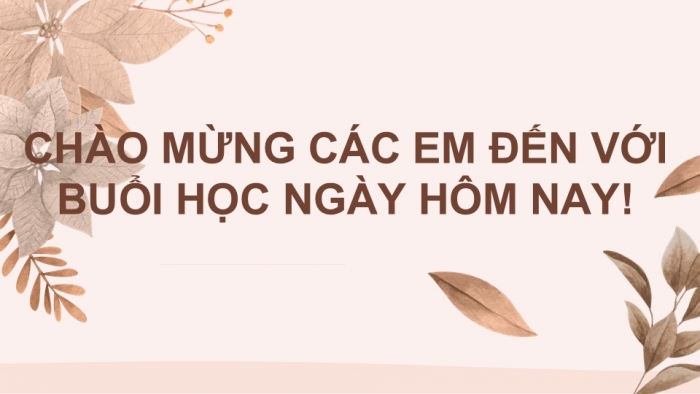 Giáo án PPT KHTN 6 kết nối Bài 38: Đa dạng sinh học