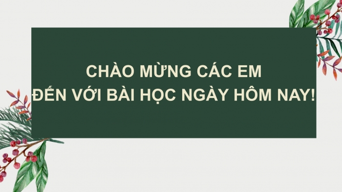 Giáo án PPT Lịch sử 6 chân trời Bài 21: Vương quốc cổ Phù Nam