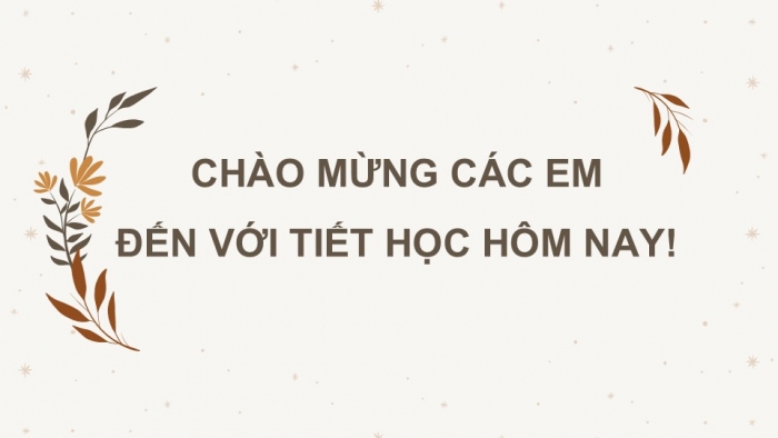 Giáo án PPT Công nghệ 6 kết nối Bài 8: Sử dụng và bảo quản trang phục