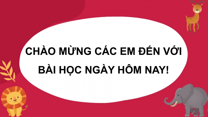 Giáo án PPT Âm nhạc 6 kết nối Tiết 20: Bài đọc nhạc số 3, Ôn tập Mưa rơi