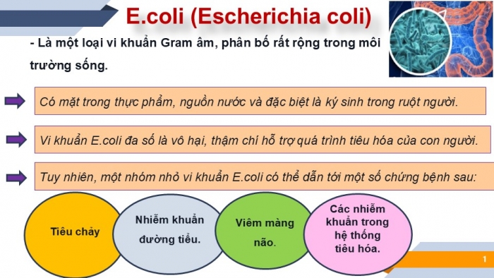 Giáo án PPT Toán 6 cánh diều Bài 5: Phép tính luỹ thừa với số mũ tự nhiên