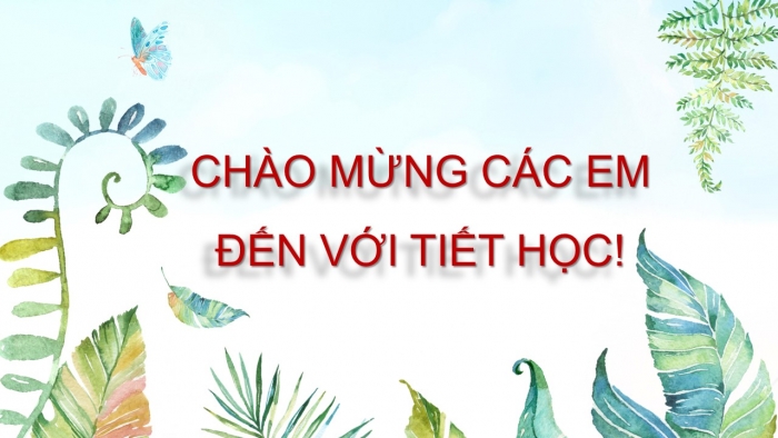 Giáo án PPT Toán 6 cánh diều Bài 7: Đối xứng trong thực tiễn