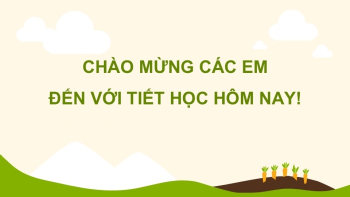 Giáo án PPT Tự nhiên và Xã hội 2 kết nối Bài 16: Thực vật sống ở đâu?