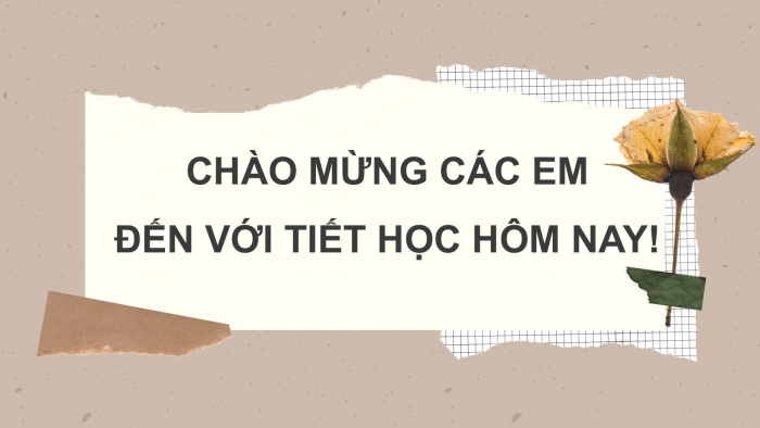 Giáo án PPT Tự nhiên và Xã hội 2 kết nối Bài 21: Tìm hiểu cơ quan vận động