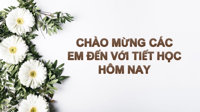 Giáo án PPT Ngữ văn 6 chân trời Bài 3: Thực hành tiếng Việt