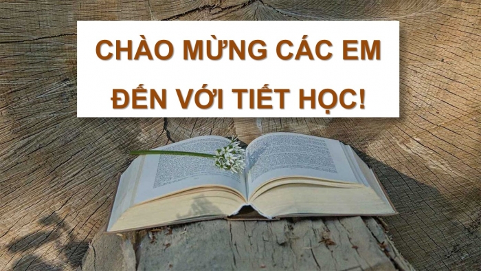 Giáo án PPT Toán 6 kết nối Chương 2 Luyện tập chung (1)