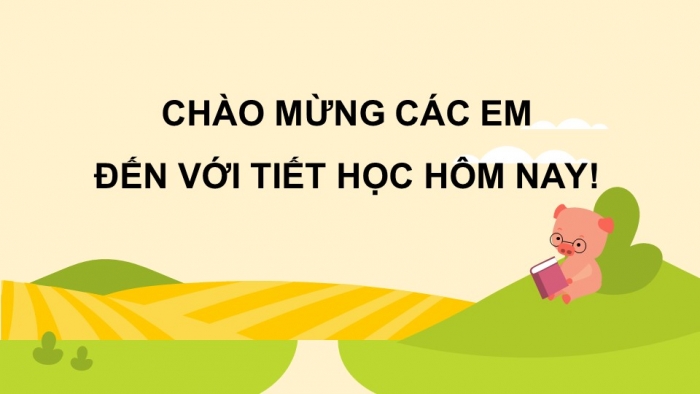 Giáo án PPT Toán 6 chân trời Bài 5: Bài toán về tỉ số phần trăm