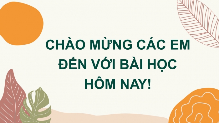 Giáo án PPT Toán 6 chân trời Bài 3: Vai trò của tính đối xứng trong thế giới tự nhiên