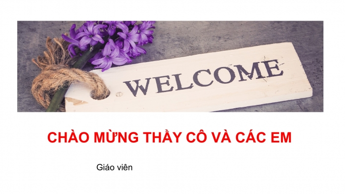 Giáo án PPT HĐTN 6 kết nối Tuần 19: Em làm việc nhà