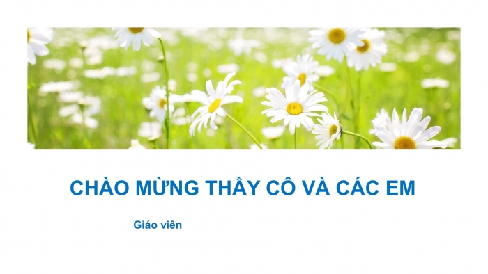 Giáo án PPT HĐTN 6 chân trời Chủ đề 8 Tuần 28