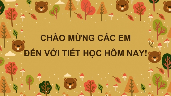 Giáo án PPT HĐTN 2 kết nối Tuần 35: Đón mùa hè trải nghiệm