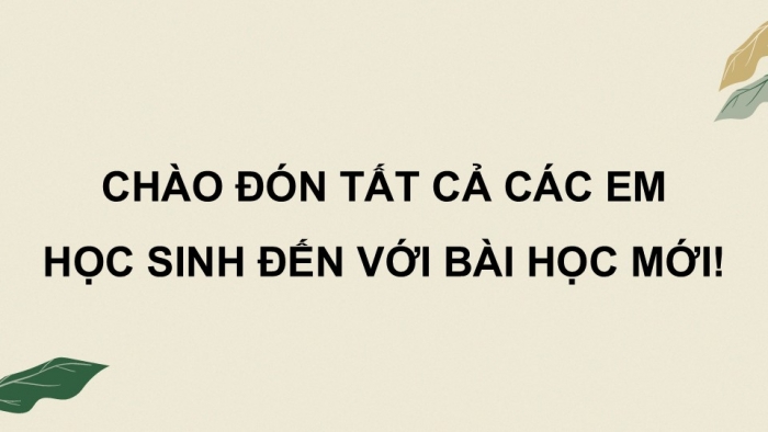 Giáo án điện tử Hoạt động trải nghiệm 9 chân trời bản 2 Chủ đề 6 Tuần 24