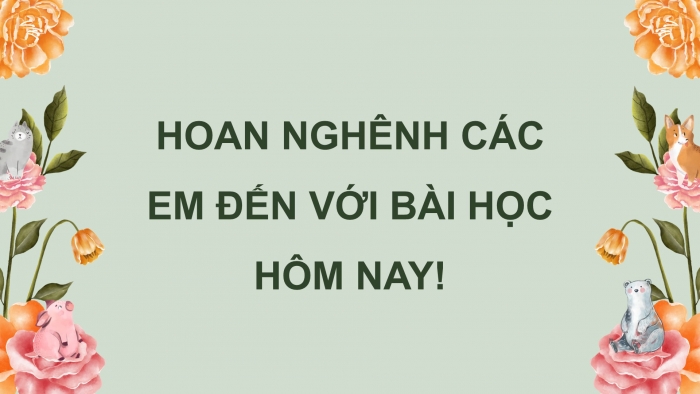 Giáo án điện tử Tiếng Việt 5 cánh diều Bài 13: Hoa trạng nguyên