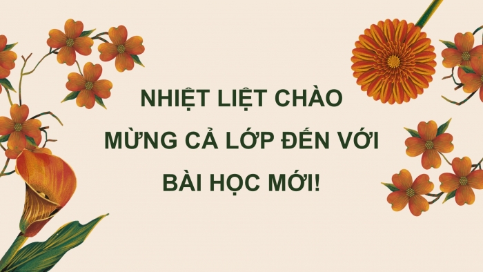 Giáo án điện tử Tiếng Việt 5 cánh diều Bài 14: Tuần lễ Vàng