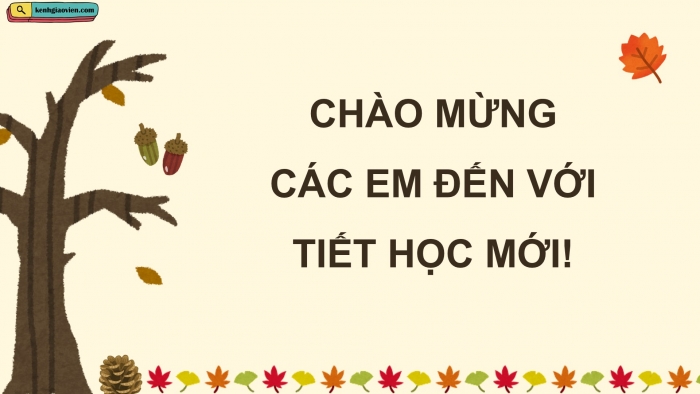 Giáo án điện tử Âm nhạc 5 cánh diều Tiết 22: Ôn tập nhạc cụ, Vận dụng