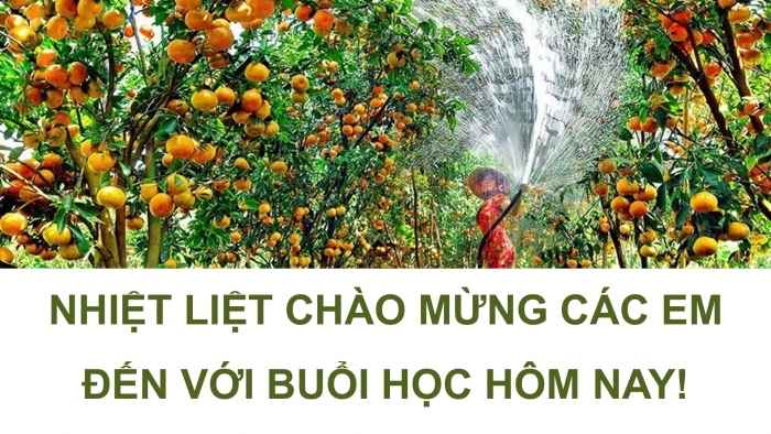 Giáo án điện tử Công nghệ 9 Trồng cây ăn quả Cánh diều Bài 12: Một số ngành nghề liên quan đến trồng cây ăn quả