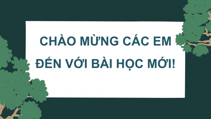 Giáo án điện tử Sinh học 12 cánh diều Bài 12: Thành tựu chọn, tạo giống bằng lai hữu tính