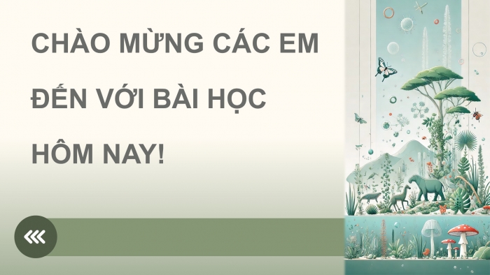 Giáo án điện tử Sinh học 12 cánh diều Bài 13: Di truyền học quần thể