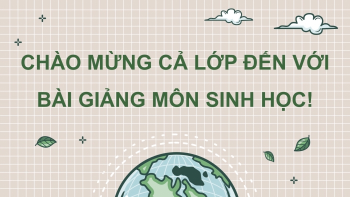 Giáo án điện tử Sinh học 12 cánh diều Bài 18: Thuyết tiến hoá tổng hợp hiện đại (Phần 2)