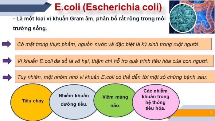 Giáo án và PPT đồng bộ Toán 6 cánh diều