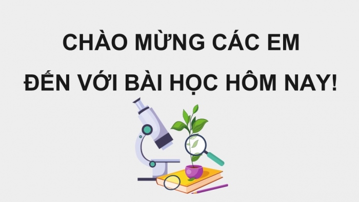 Giáo án điện tử KHTN 9 kết nối - Phân môn Sinh học Bài 49: Khái niệm tiến hóa và các hình thức chọn lọc