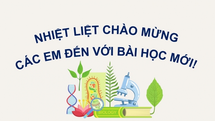 Giáo án điện tử KHTN 9 kết nối - Phân môn Sinh học Bài 50: Cơ chế tiến hóa