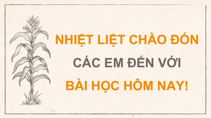 Giáo án điện tử Địa lí 9 kết nối Chủ đề chung 2: Văn minh châu thổ sông Hồng và sông Cửu Long (2) (P2)