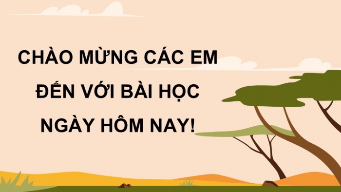 Giáo án điện tử Hoạt động trải nghiệm 12 kết nối Chủ đề 7 Tuần 3