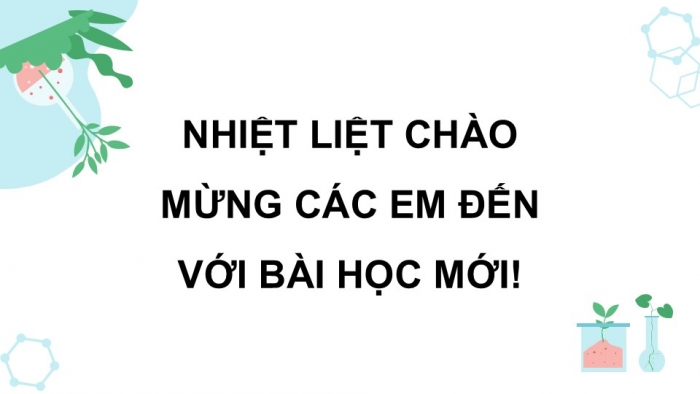 Giáo án điện tử Khoa học 5 kết nối Bài 28: Chức năng của môi trường đối với sinh vật