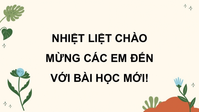 Giáo án điện tử Khoa học 5 kết nối Bài 30: Ôn tập chủ đề Sinh vật và môi trường