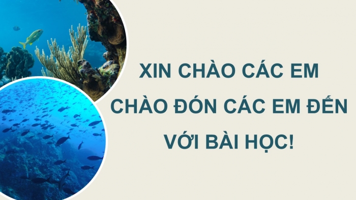 Giáo án điện tử Công nghệ 12 Lâm nghiệp - Thủy sản Kết nối Bài 25: Ứng dụng công nghệ sinh học trong phòng, trị bệnh thủy sản